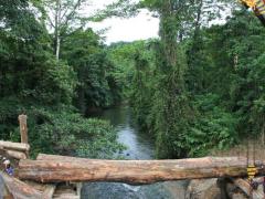 Real-Time Evaluation of Norway's International Climate and Forest Initiative