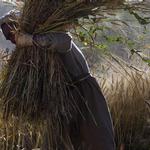 Country Evaluation Brief: Afghanistan
