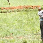 Counter-mobilization against child marriage reform in Africa