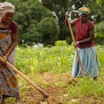 Can Smallholders benefit from the new market opportunities from the extractive industry in Tanzania?