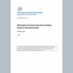 Gender equality and development in Mozambique