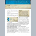 UNCAC in a nutshell. A quick guide to the United Nations Convention against Corruption for embassy and donor agency staff