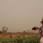 Household wellbeing and coping strategies in Africa during COVID-19 – Findings from high frequency phone surveys