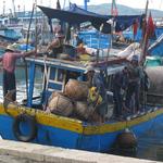 Fishers, Monks and Cadres: Navigating State, Religion and the South China Sea in Central Vietnam