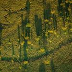 Climate Change, Displacement, and Resettlement: Research and Policy Agendas Post-COP 26