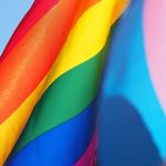 Queer rights activism under political uncertainty