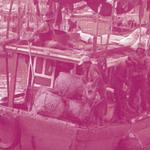 How do capitalist labour practices in fisheries make the sea a dangerous place?