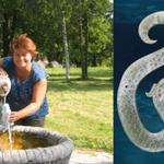 Water Beings: From Nature Worship to the Environmental Crisis