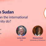 War in Sudan. What can the international community do?