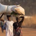 The humanitarian impact of the Sudan war in South Sudan