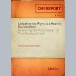 Litigating the right to a healthy environment assessing the policy impact of