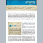 Implementing the illicit financial flows agenda: Perspectives from developing countries