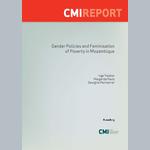 Gender Policies and Feminisation of Poverty in Mozambique