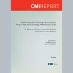 Monitoring and evaluating Mozambique's poverty reduction strategy PARPA 2006-2008. A synopsis of three qualitative studies on rural and urban poverty