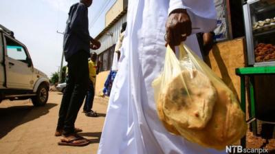 Stable economic polices behind the unstable political scene in Sudan