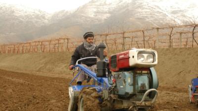 Understanding and addressing poverty and food insecurity in Afghanistan