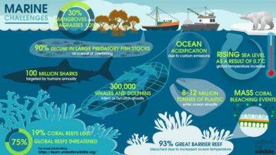 Human Impact to Ocean Environment