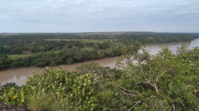 Devastated jungle and dispossessed peasantry: military operations against deforestation that left peasant Colombians homeless in the Amazon region