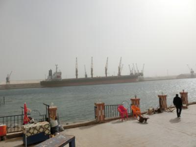 48124418038 663ec570be o