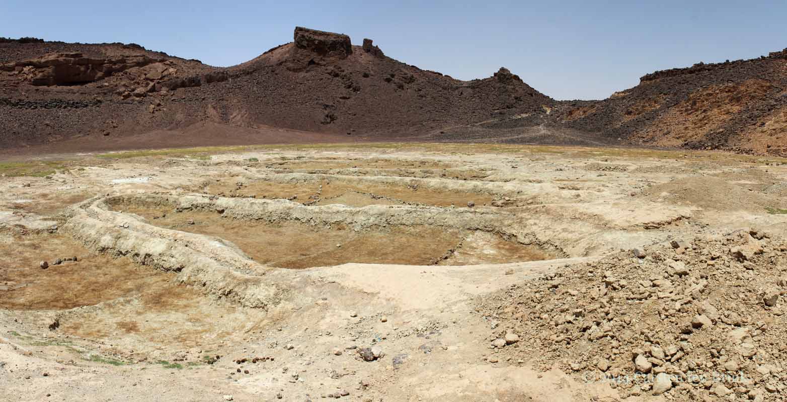 Women at war photo 2